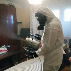 Дезинфекция от клопов в Бологом